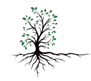 albero sito