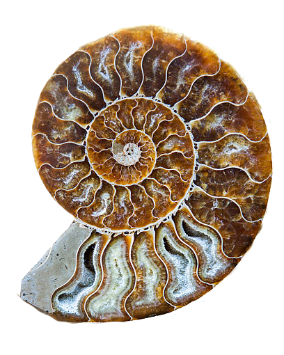golden ratio2 1